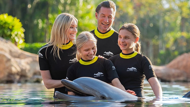 Swim with a dolphin at Discovery Cove
