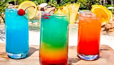 Upgrade to a Premium Drinks Package at Discovery Cove