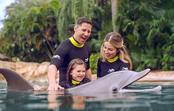 Dolphin swim at Discovery Cove Orlando